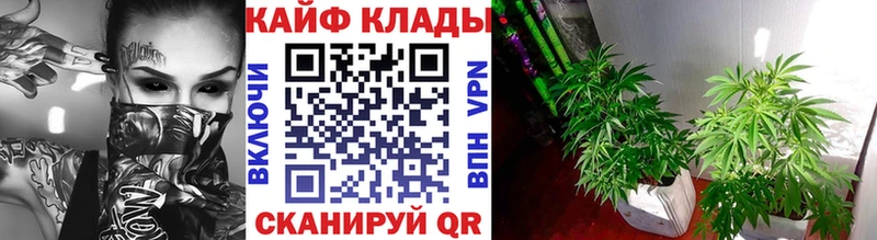 ЭКСТАЗИ Ростов