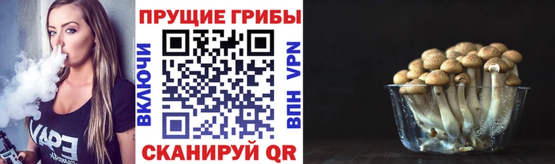Псилоцибиновые грибы GOLDEN TEACHER  Ростов 